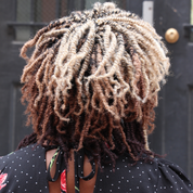 CITY TWISTS